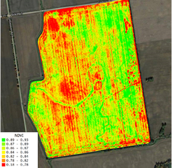 Аеророзвідка полів